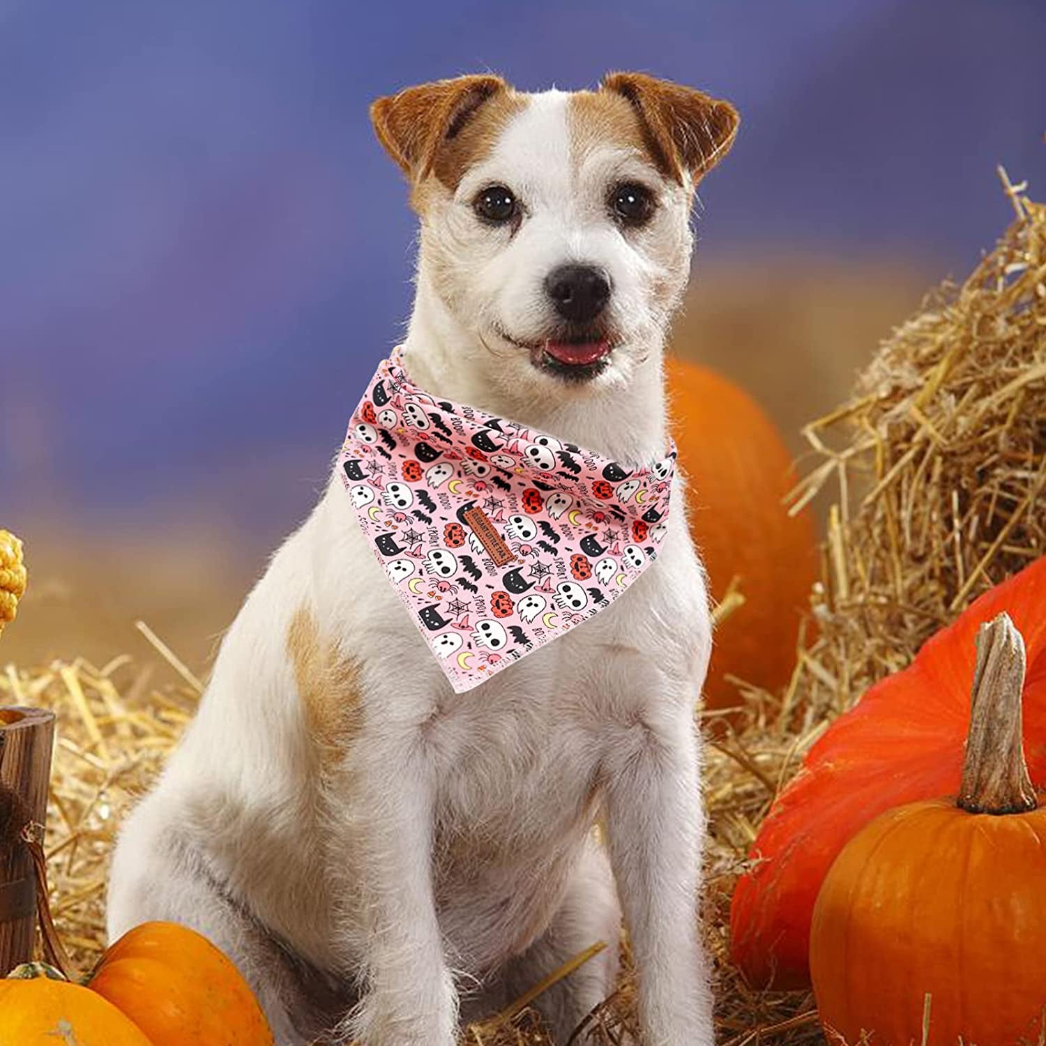 Elegant Little Tail Dog Bandana, Halloween Pumpkin Girl Boy Dog Bandanas for Small Medium Large Dogs Washable Square Dog Scarf Adjustable Dog Kerchief Animals & Pet Supplies > Pet Supplies > Dog Supplies > Dog Apparel Elegant little tail   