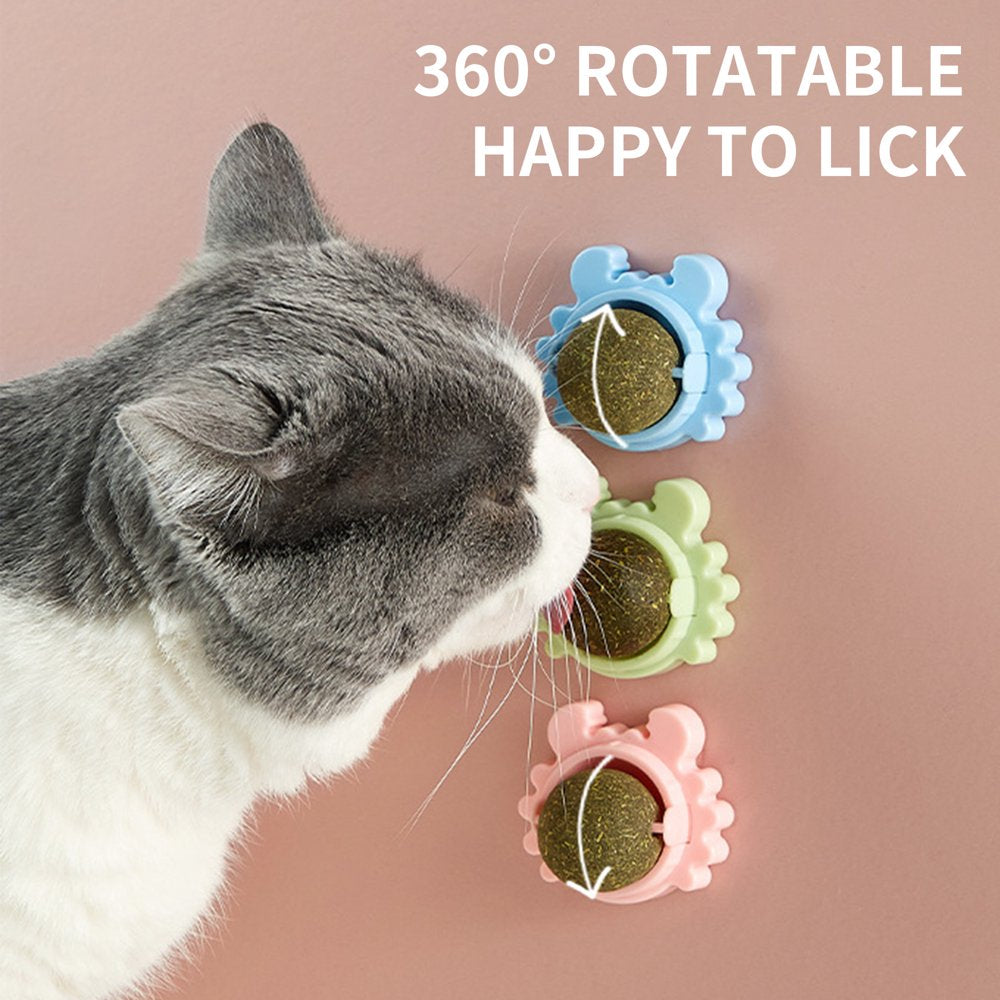 Catnip Ball, Edible Catnip Wall Ball, Kitty Toys for Cat Licking Ball,  Rotatable Mint Ball Kitten Chew Treats for Teeth Cleaning Biting Dental  Care Green