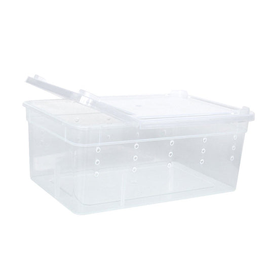 Thinsont 10Pcs Reptiles Feeding Container Transparent Viewing High-Strength Insect Supplies Raising Boxes Household Pet Food Storage White Animals & Pet Supplies > Pet Supplies > Reptile & Amphibian Supplies > Reptile & Amphibian Food Thinsont   