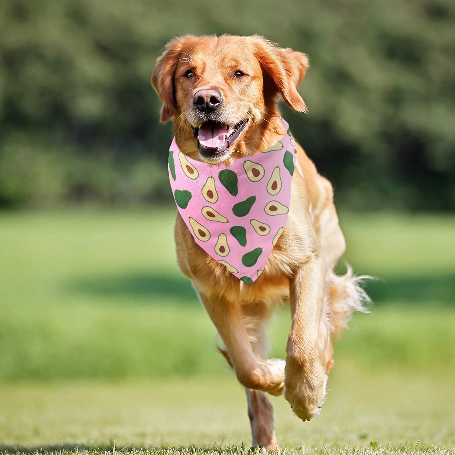 12 Pieces Dog Bandana Scarf Washable Triangular Bibs Pet Adjustable Washable Kerchief Dog Bandana for Small and Large Dogs(Summer Patterns) Animals & Pet Supplies > Pet Supplies > Dog Supplies > Dog Apparel Weewooday   