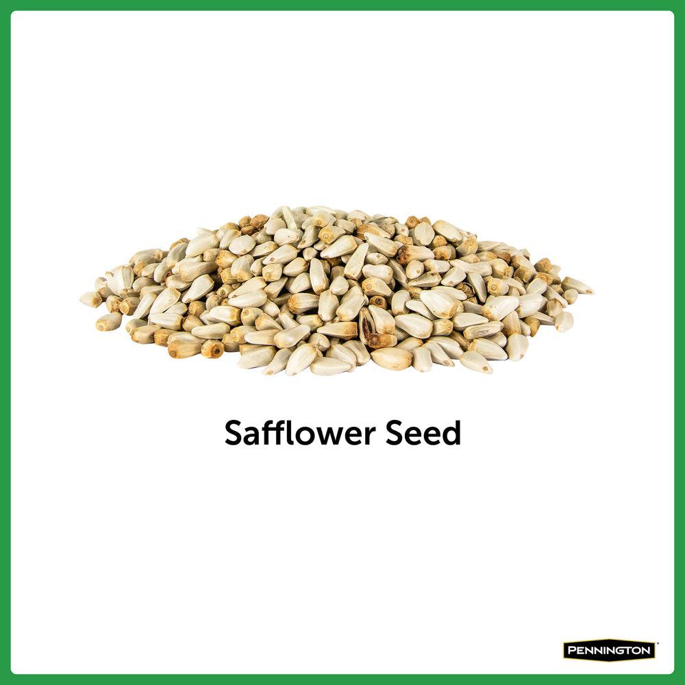 Premium 7 Lbs. Safflower Bird Seed Bird Food Animals & Pet Supplies > Pet Supplies > Bird Supplies > Bird Food Pennington   