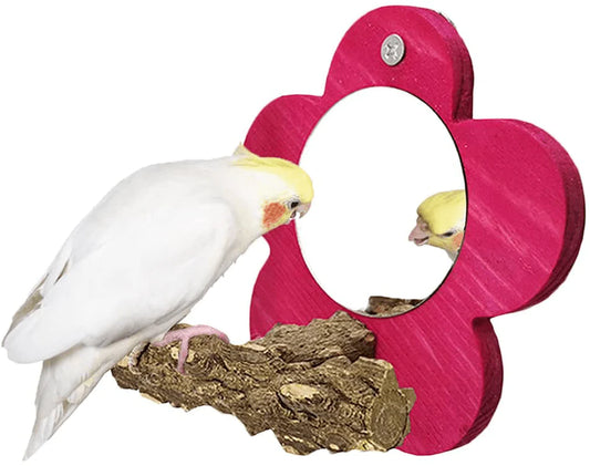 BIGCAKE Bird Mirror with Perch, Natural Parrot Stand Wooden Stick Toys for Small Parrot Canaries Parakeet Cockatiel Lovebird Conure Lorikeet Budgie Cockatoo Finch Animals & Pet Supplies > Pet Supplies > Bird Supplies > Bird Cage Accessories BIGCAKE Red  