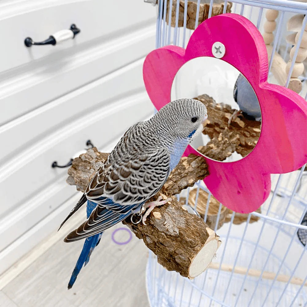 Parrot mirror toys clearance