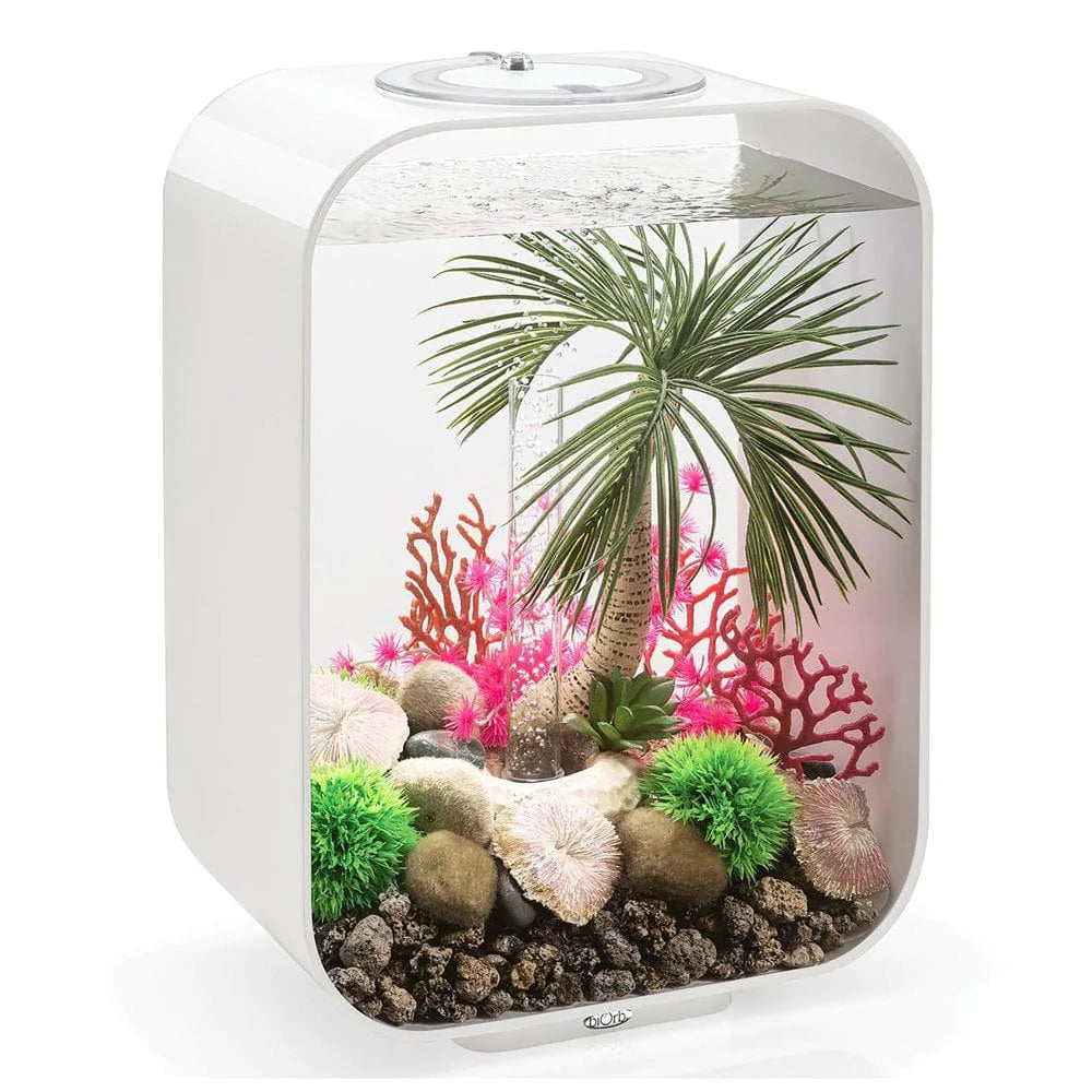 Biorb Plate Coral Aquarium Decor Set of 3 Animals & Pet Supplies > Pet Supplies > Fish Supplies > Aquarium Decor biOrb   