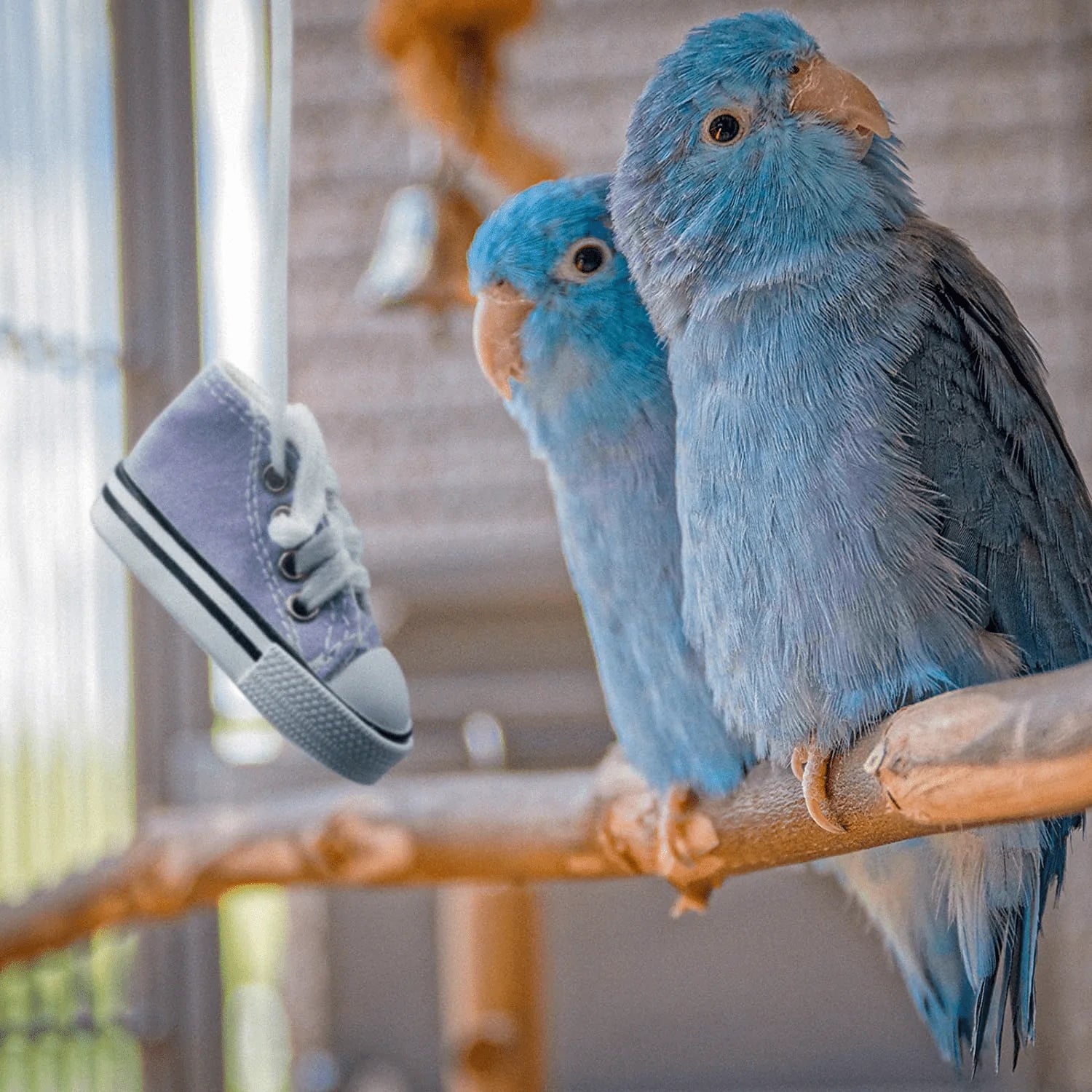 Bird Chewing Toys, 12 Pieces Parrot Sneakers Colorful Cotton Shredder Hanging Cage Bite Toys for Small Parakeets, Cockatiel, Conures, Finches, Budgie, Mynah, Finche, Love Birds,Dove, Parrotlet Animals & Pet Supplies > Pet Supplies > Bird Supplies > Bird Toys Roundler   