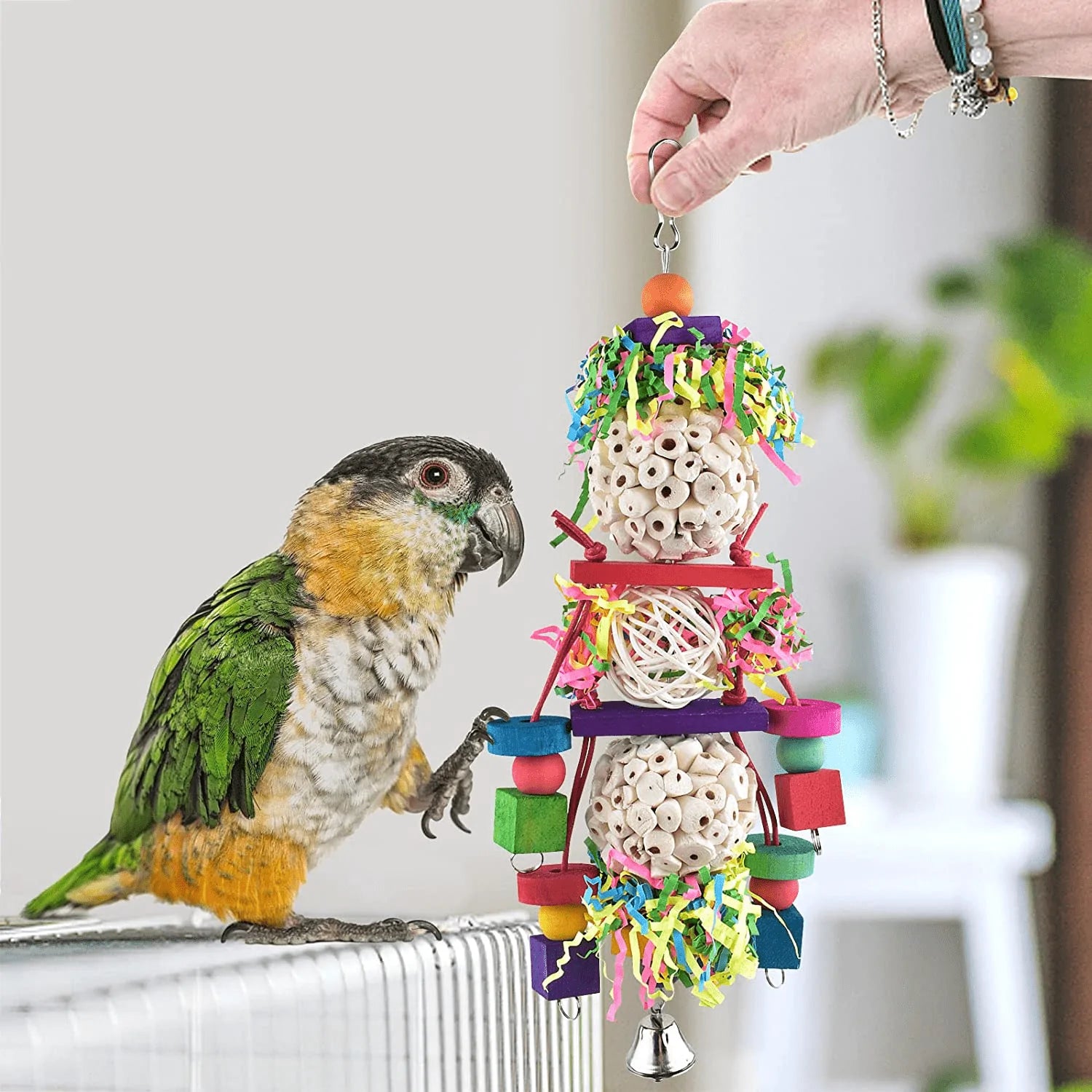 Bissap Conure Toys, Bird Parrot Foraging Shredder Hanging Toys Sola Balls Sepak Takraw with Bell for Small Parrots Parakeets Conures Cockatiels Love Birds Cage Toy Animals & Pet Supplies > Pet Supplies > Bird Supplies > Bird Toys Bissap   