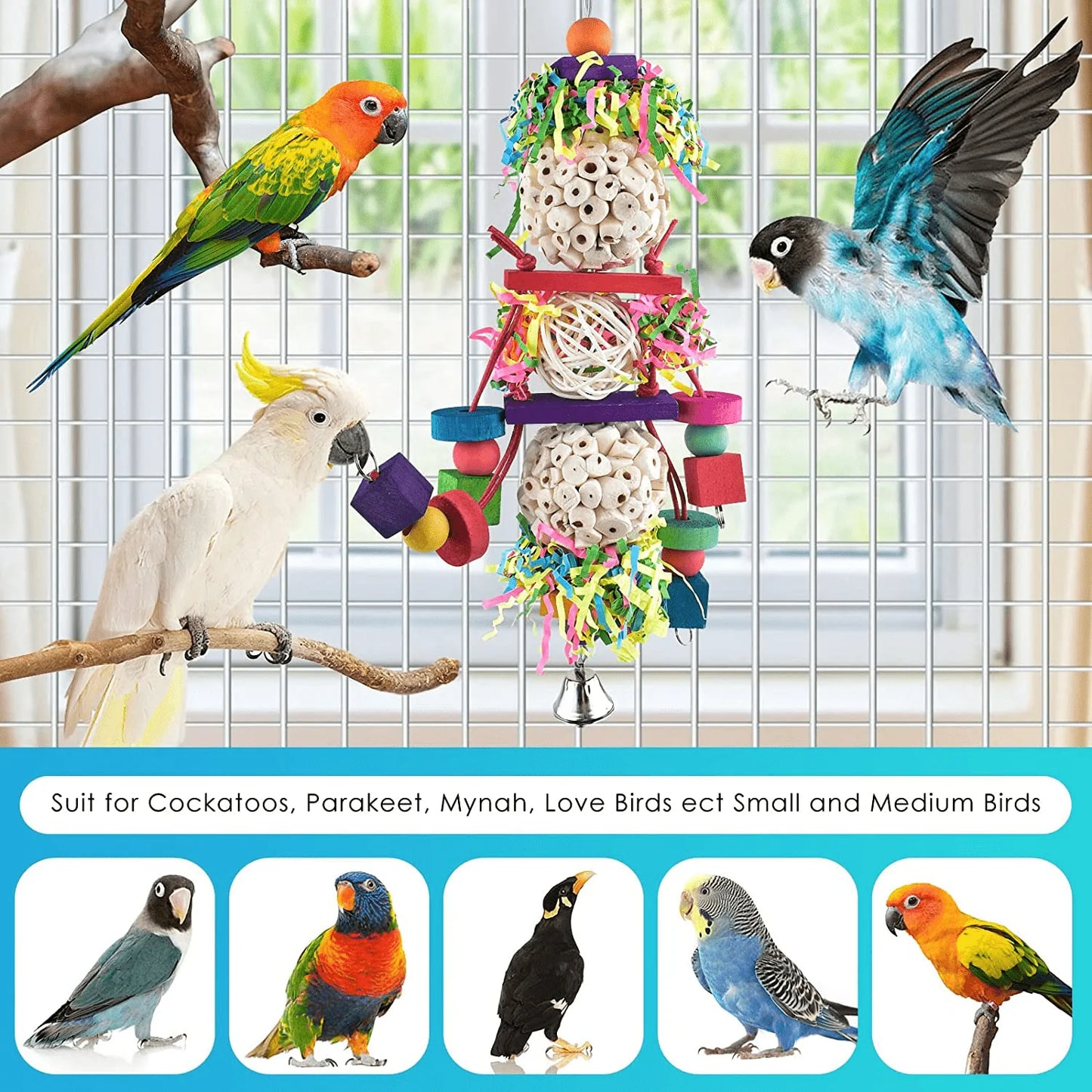 Bissap Conure Toys, Bird Parrot Foraging Shredder Hanging Toys Sola Balls Sepak Takraw with Bell for Small Parrots Parakeets Conures Cockatiels Love Birds Cage Toy Animals & Pet Supplies > Pet Supplies > Bird Supplies > Bird Toys Bissap   