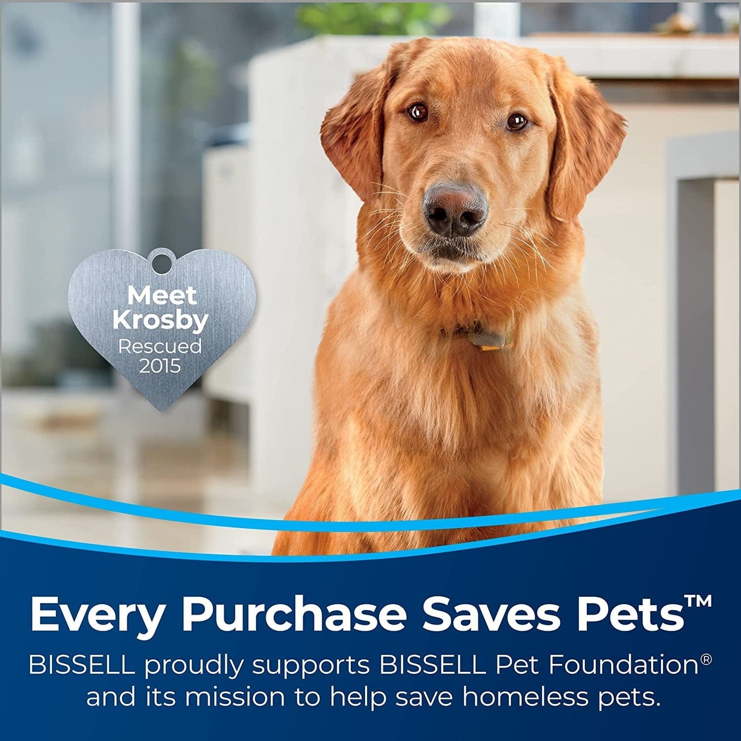 BISSELL Steamshot Deluxe Hard Surface Steam Cleaner with Natural Sanitization, Multi-Surface Tools Included to Remove Dirt, Grime, Grease, and More, 39N7A Animals & Pet Supplies > Pet Supplies > Dog Supplies > Dog Apparel Bissell   