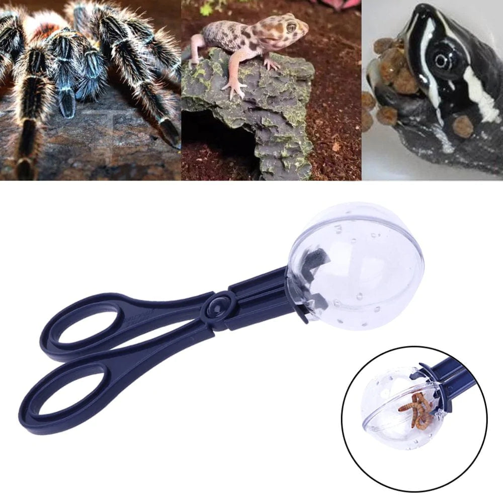 Black Reptile Feeding Clamp Handy Scooper Insect Catch Clamp Reptiles Feeding