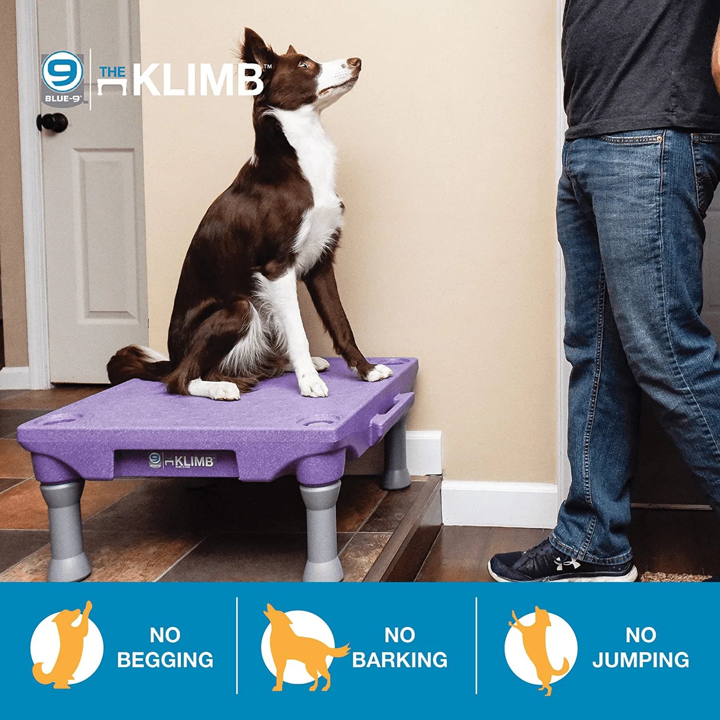 Blue-9 Klimb Dog Training Platform and Agility System, Durable and Portable for Indoor or Outdoor Use Animals & Pet Supplies > Pet Supplies > Dog Supplies > Dog Treadmills Blue-9   