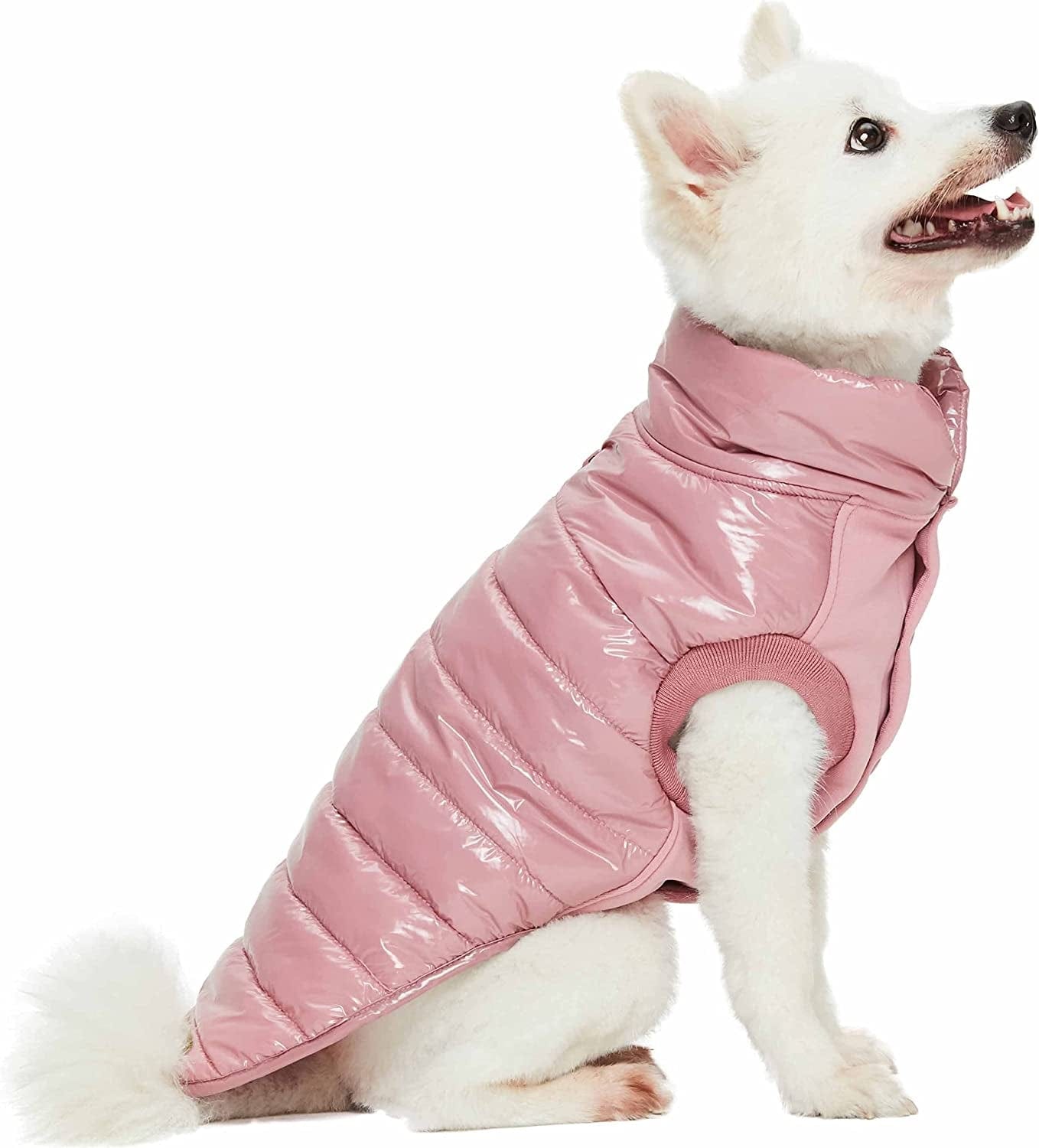 Blueberry Pet Cozy & Comfy Windproof Lightweight Quilted Fall Winter Glossy Dog Puffer Jacket in Mauve Pink, Back Length 12.5", Size 10, Warm Coat for Small Dogs Animals & Pet Supplies > Pet Supplies > Dog Supplies > Dog Apparel Blueberry Pet   