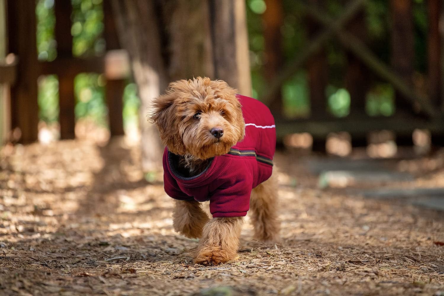 Dog polar outlet fleece