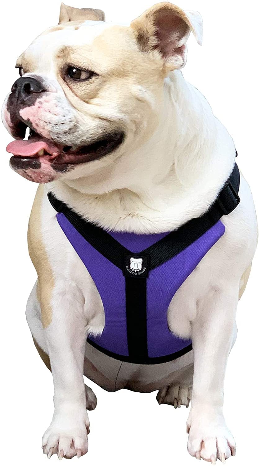 Bulldog Grade No Pull Dog Harness - Custom Fit, Reflective Vest Harnesses with Handle Designed for English Bulldogs, French Bulldogs, and American Bulldogs (Small, Canine Khaki Camo) Animals & Pet Supplies > Pet Supplies > Dog Supplies > Dog Apparel Bulldog Grade Panting Purple Small 