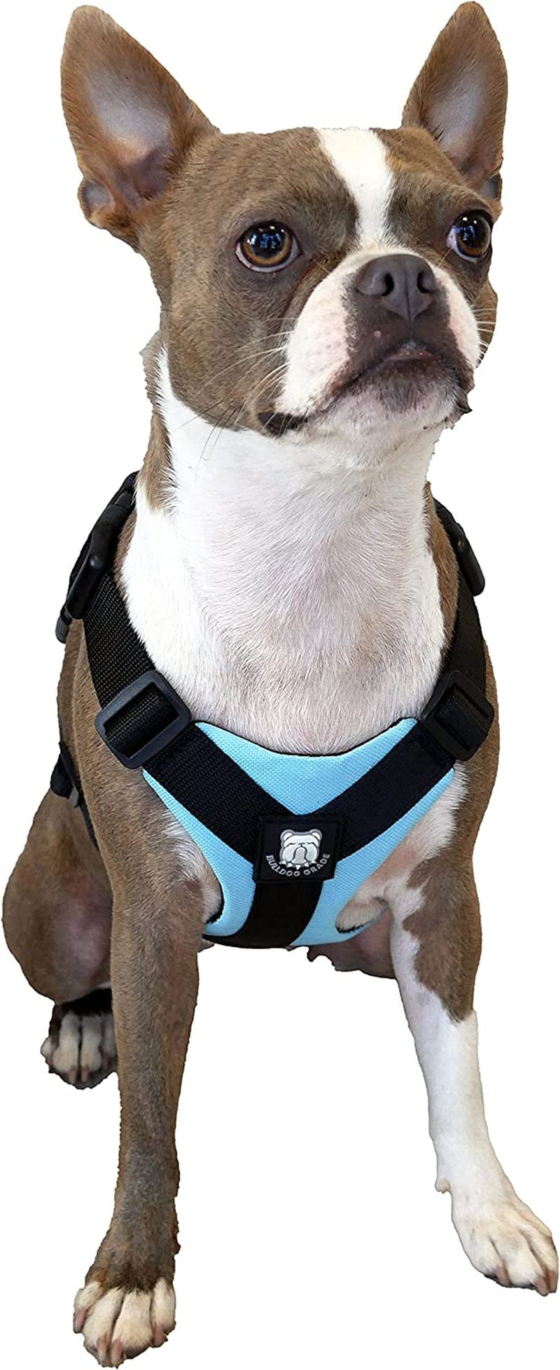 Bulldog Grade No Pull Dog Harness - Custom Fit, Reflective Vest Harnesses with Handle Designed for English Bulldogs, French Bulldogs, and American Bulldogs (Small, Canine Khaki Camo) Animals & Pet Supplies > Pet Supplies > Dog Supplies > Dog Apparel Bulldog Grade Lazy Light Blue Small 