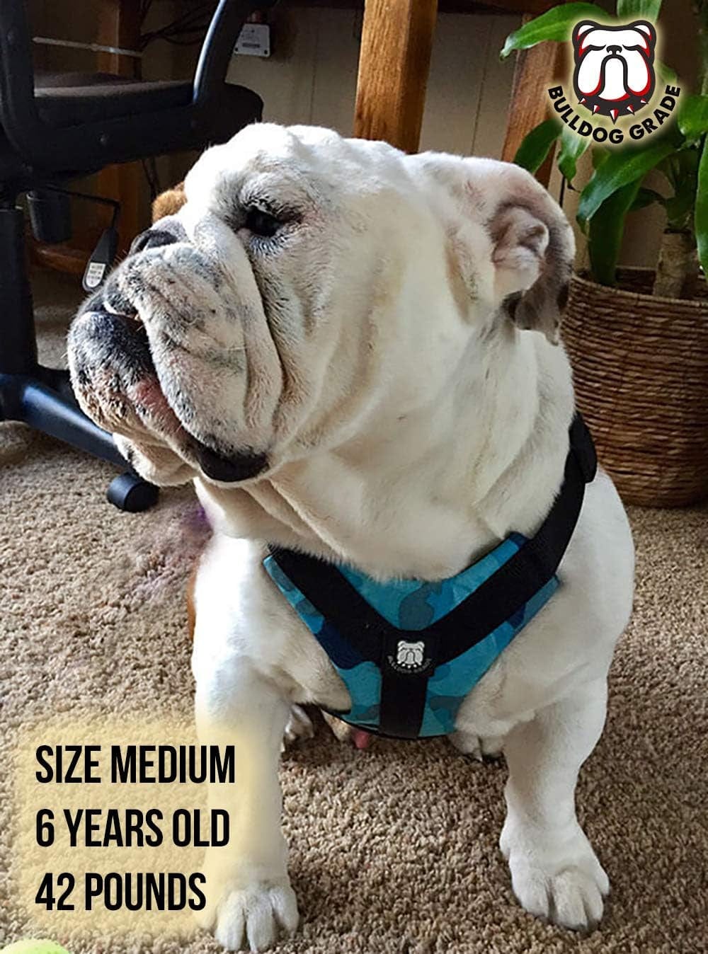 Bulldog Grade No Pull Dog Harness - Custom Fit, Reflective Vest Harnesses with Handle Designed for English Bulldogs, French Bulldogs, and American Bulldogs (Small, Canine Khaki Camo) Animals & Pet Supplies > Pet Supplies > Dog Supplies > Dog Apparel Bulldog Grade   