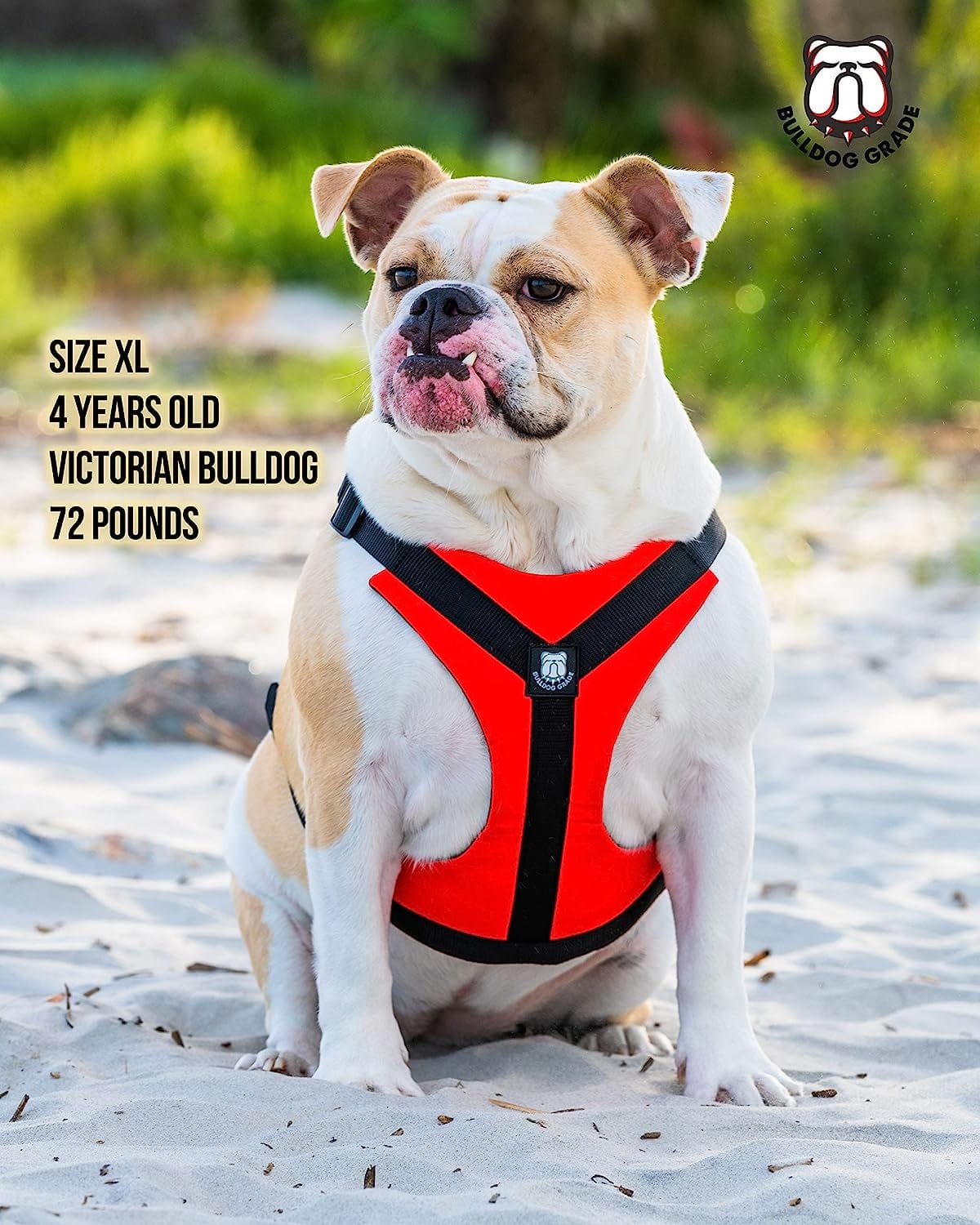 Bulldog Grade No Pull Dog Harness - Custom Fit, Reflective Vest Harnesses with Handle Designed for English Bulldogs, French Bulldogs, and American Bulldogs (Small, Canine Khaki Camo) Animals & Pet Supplies > Pet Supplies > Dog Supplies > Dog Apparel Bulldog Grade   