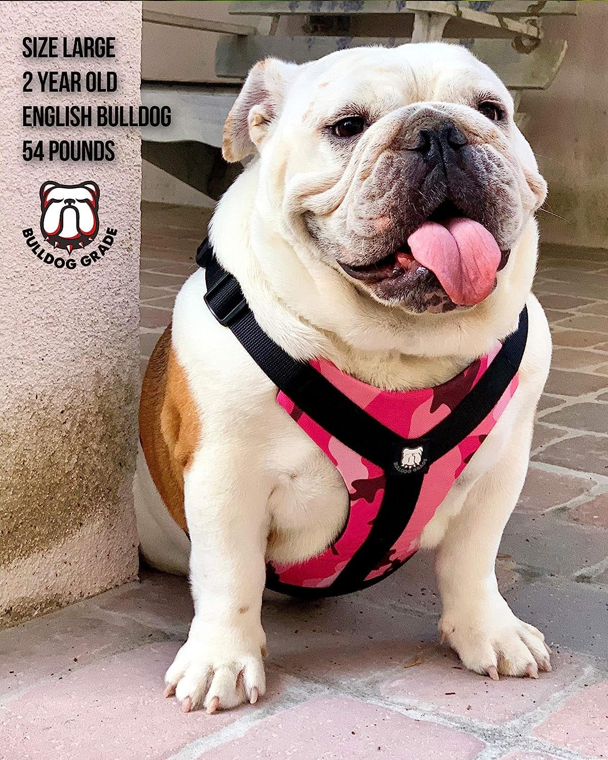 Bulldog Grade No Pull Dog Harness - Custom Fit, Reflective Vest Harnesses with Handle Designed for English Bulldogs, French Bulldogs, and American Bulldogs (Small, Canine Khaki Camo) Animals & Pet Supplies > Pet Supplies > Dog Supplies > Dog Apparel Bulldog Grade   