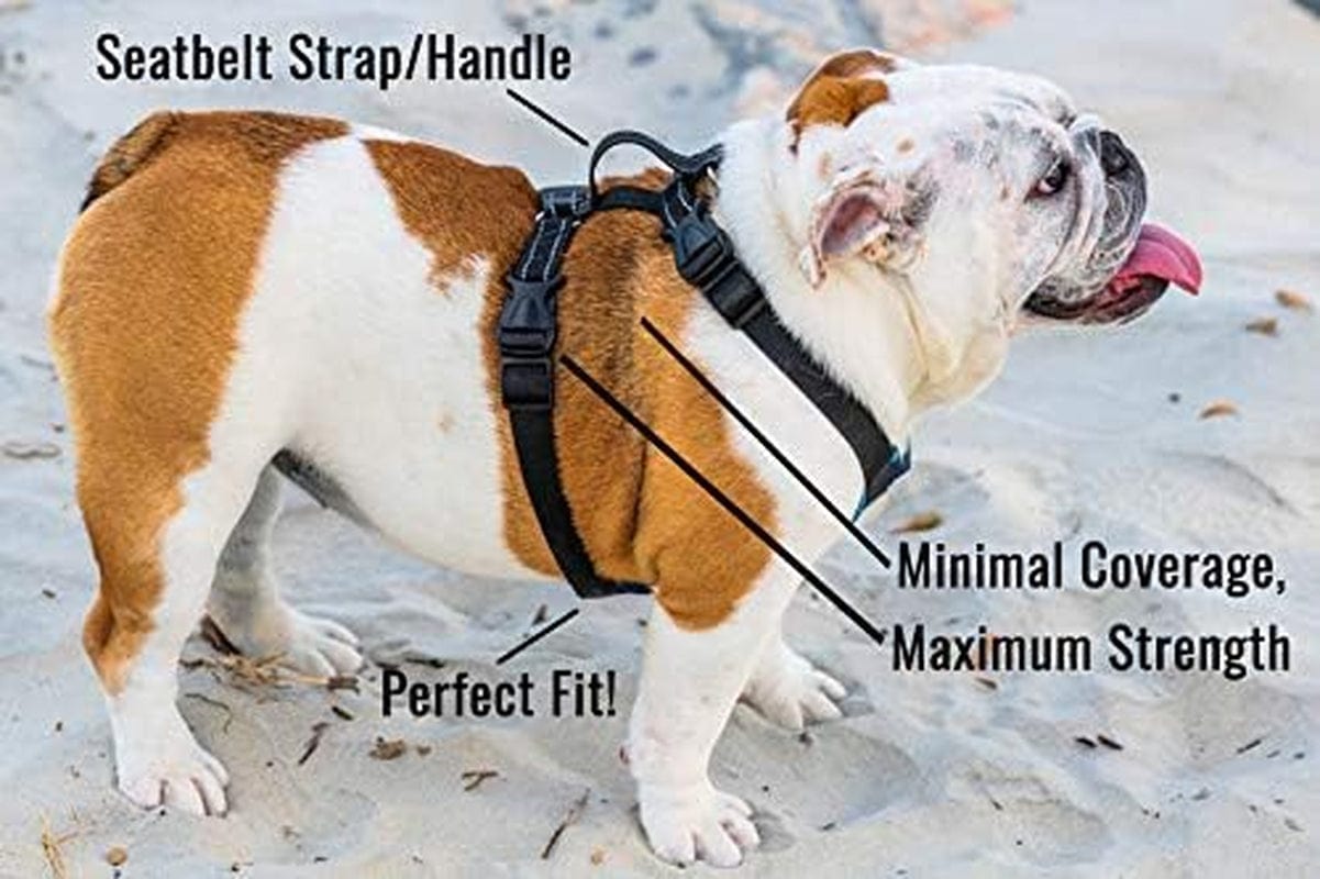 Bulldog Grade No Pull Dog Harness - Custom Fit, Reflective Vest Harnesses with Handle Designed for English Bulldogs, French Bulldogs, and American Bulldogs (Small, Canine Khaki Camo) Animals & Pet Supplies > Pet Supplies > Dog Supplies > Dog Apparel Bulldog Grade   