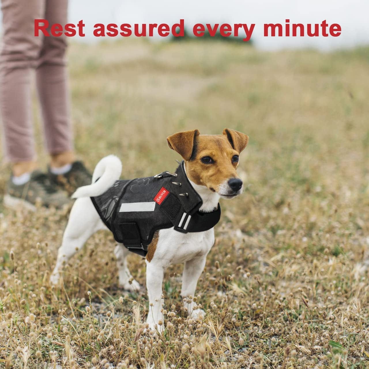 BUVUB Puncture Resistant Dog Vest, Dog Protection Harness Vest with Spiked Rivet Made of Shape-Adjustable Bendable Stainless Steel Plate Fend off Eagle,Bird of Prey,Coyote,Hawks,Owls (Small) Animals & Pet Supplies > Pet Supplies > Dog Supplies > Dog Apparel BUVUB   