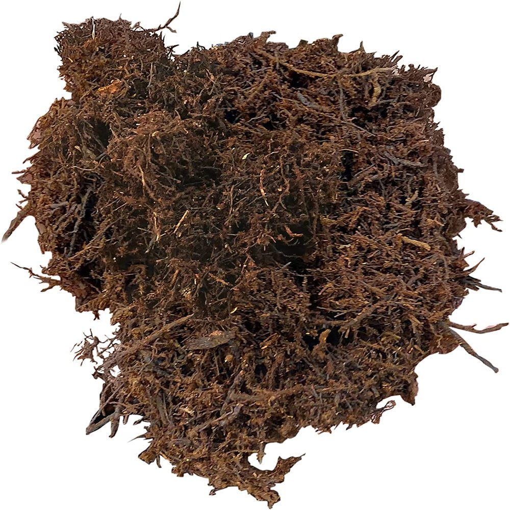 Josh'S Frogs Tree Fern Fiber Substrate (10 Quarts) Animals & Pet Supplies > Pet Supplies > Reptile & Amphibian Supplies > Reptile & Amphibian Substrates Josh's Frogs   