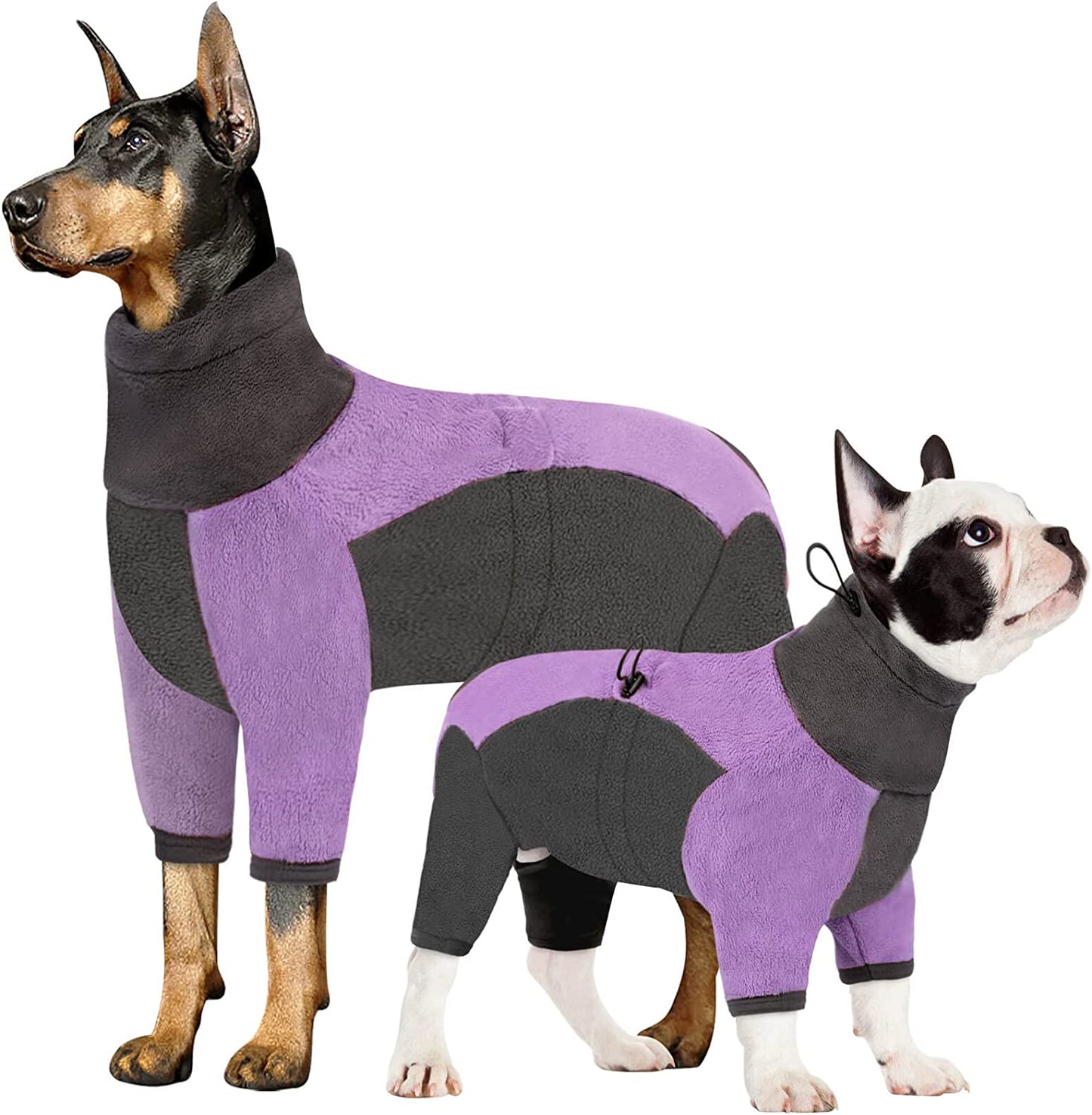 Amazon.com : Vizpet Dog Raincoat Waterproof Coats,Dog Jacket High  Visibility Warm Vest Dog Clothes for Small Medium Large Dogs(Green-M) : Pet  Supplies