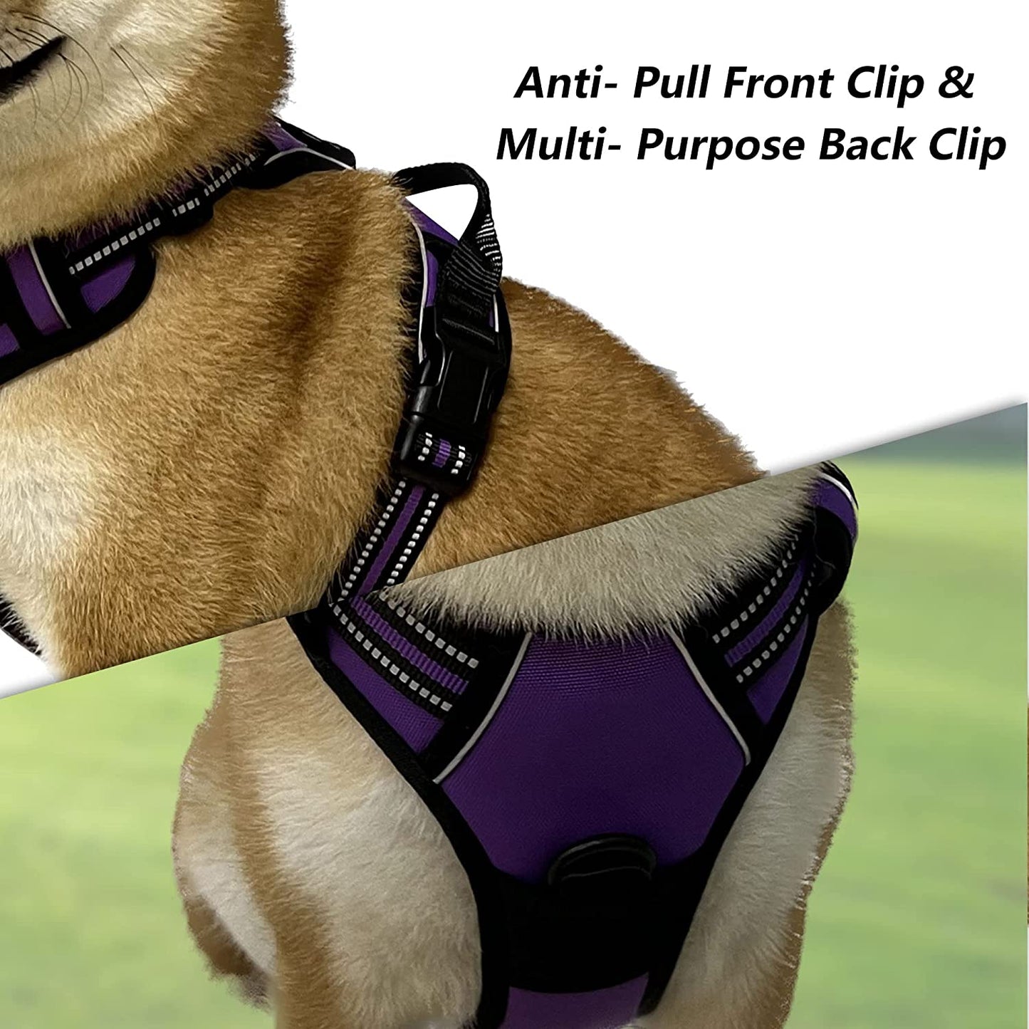 C4P No Pull Dog Harness for Medium Dogs, Dog Vest Harness for Training, Safety Fully Adjustable Dog Collar, Reflective Strip No-Choke Pet Oxford Walking Vest with Handle for Medium Dogs Purple M Animals & Pet Supplies > Pet Supplies > Dog Supplies > Dog Apparel C4P   