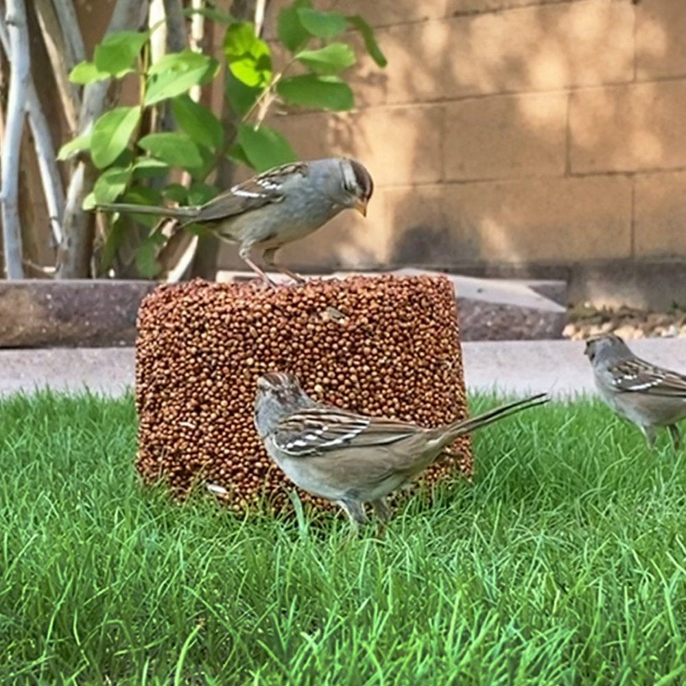 Nature'S Way All-Natural Wild Bird Food, for Quail, Doves, Sparrows and Finches, 5 Lbs. Block Animals & Pet Supplies > Pet Supplies > Bird Supplies > Bird Food GRO-WELL BRANDS INC   