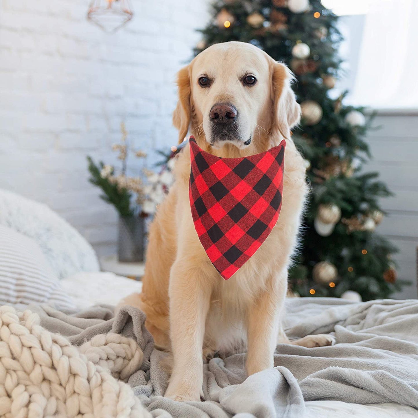 ADOGGYGO Christmas Dog Bandana Classic Buffalo Plaid Pet Bandana Triangle Bibs Kerchief Red Green Plaid Dog Scarfs for Small Medium Large Dogs Cats Pet (L, Red & Red) Animals & Pet Supplies > Pet Supplies > Dog Supplies > Dog Apparel ADOGGYGO   