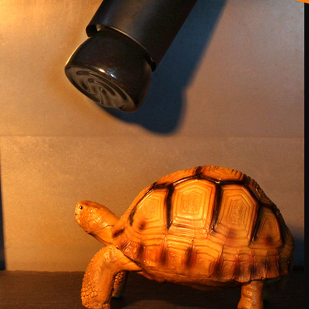 Facaimo Ceramic Heat Emitter Reptile Heat Lamp Bulb No Light Emitting Brooder Coop Heater for Amphibian Pet & Incubating Chicken  EQ0086301   