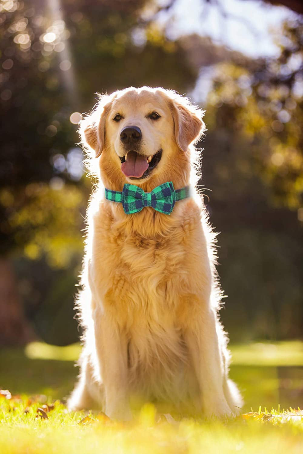 LYSA Dog and Cat Collars ,Detachable Adjustable Bow Tie Collar, British Style Plaid Bowtie--Quality PU Leather and Durable Polyester--Plastic Buckle Light (M, Greenplaid) Animals & Pet Supplies > Pet Supplies > Dog Supplies > Dog Apparel LYSA   