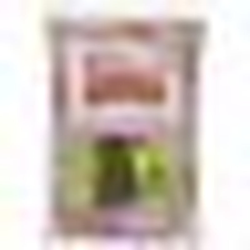 Shafer Seed Finches Gourmet Bird Food, 8 Pounds