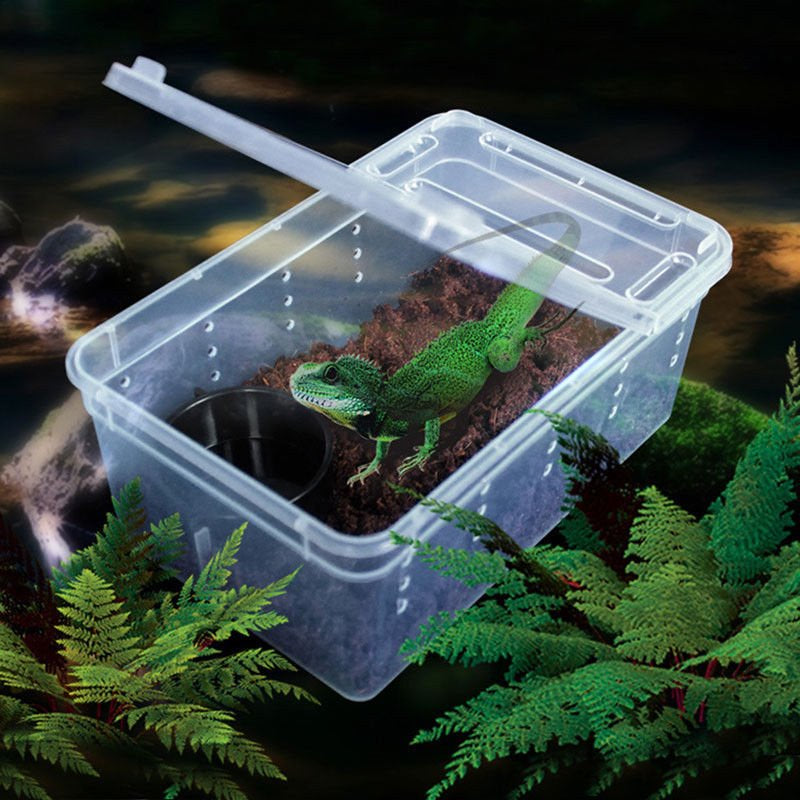 Mulanimo Transparent Feeding Box Reptile Box Amphibian for Snake Cage Lizard Spider Reptile Combination Animals & Pet Supplies > Pet Supplies > Reptile & Amphibian Supplies > Reptile & Amphibian Food Mulanimo S  