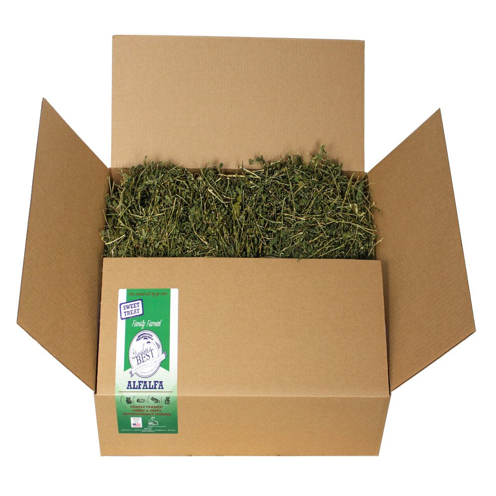 Grandpa'S Best Alfalfa Hay 5Lb Loose Boxed Hay for Small Animals Animals & Pet Supplies > Pet Supplies > Small Animal Supplies > Small Animal Food Grandpa's Best   