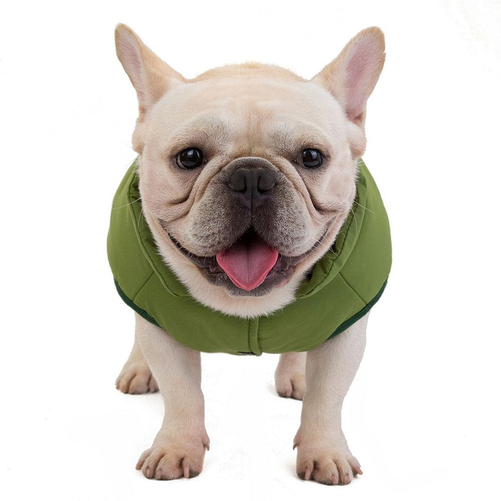 Hiheart Dogs Pet Apparel Padded Water Resistant Windproof Winter Vest for Small Medium Puppies Green XL Animals & Pet Supplies > Pet Supplies > Dog Supplies > Dog Apparel Daai Apparel Co LTD   