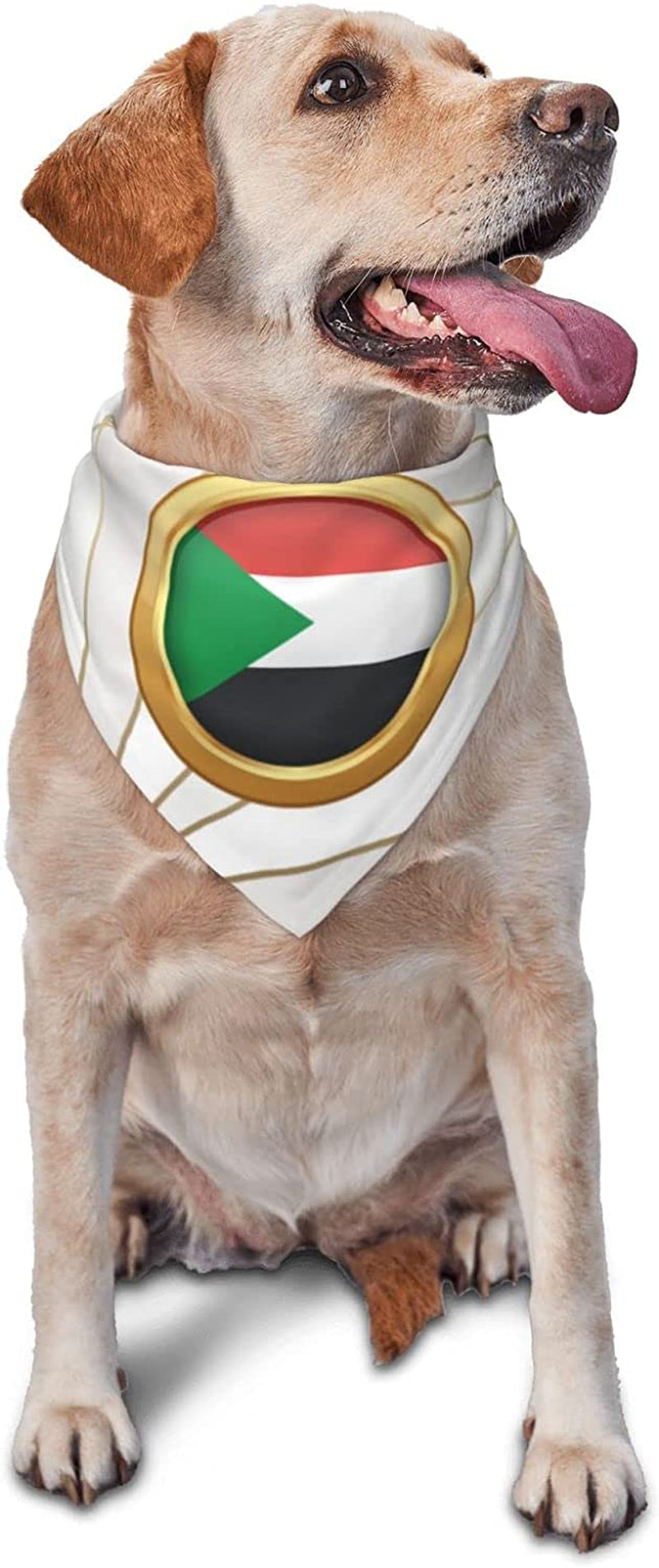 Golden Disc Sudan Flag Pet Dog and Cat Decorative Triangle Scarf,Dog Bandana,Breathable and Stain Resistant. Animals & Pet Supplies > Pet Supplies > Dog Supplies > Dog Apparel ZALTAS   