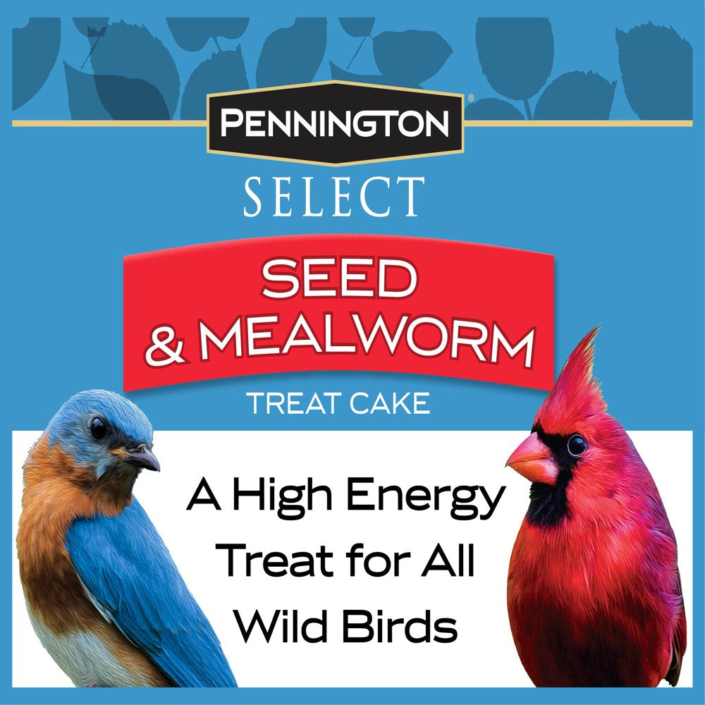 Pennington Seed & Mealworm Treat Cake, Wild Bird Feed, 1.4 Lb. Animals & Pet Supplies > Pet Supplies > Bird Supplies > Bird Food CENTRAL GARDEN & PET COMPANY   