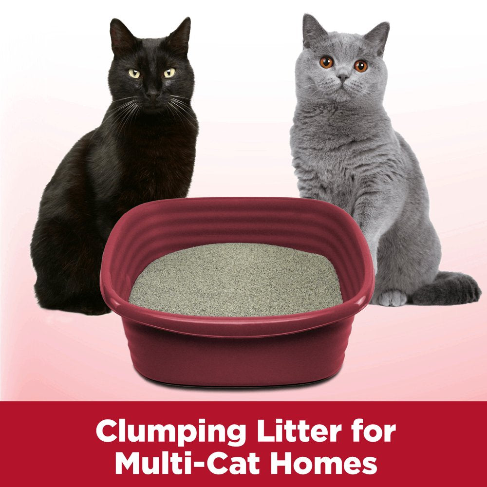 Arm & Hammer Clump & Seal Multi-Cat Complete Odor Sealing Clumping Cat Litter, 38Lb Animals & Pet Supplies > Pet Supplies > Cat Supplies > Cat Litter Church & Dwight Co., Inc.   