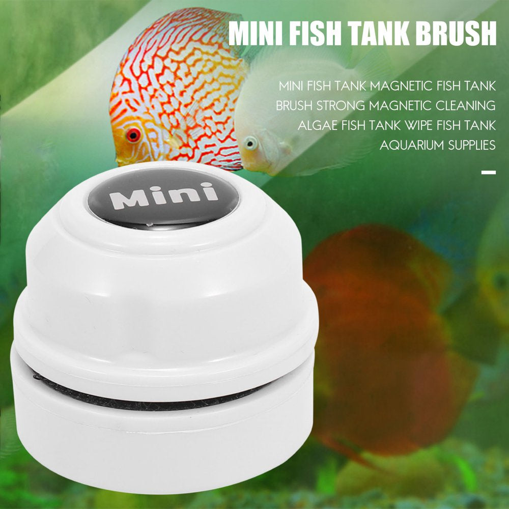 Tycncty Mini Fish Tank Magnetic Fish Tank Brush Strong Magnetic Cleaning Algae Fish Tank Wipe Fish Tank Aquarium Supplies Animals & Pet Supplies > Pet Supplies > Fish Supplies > Aquarium Cleaning Supplies Tycncty   