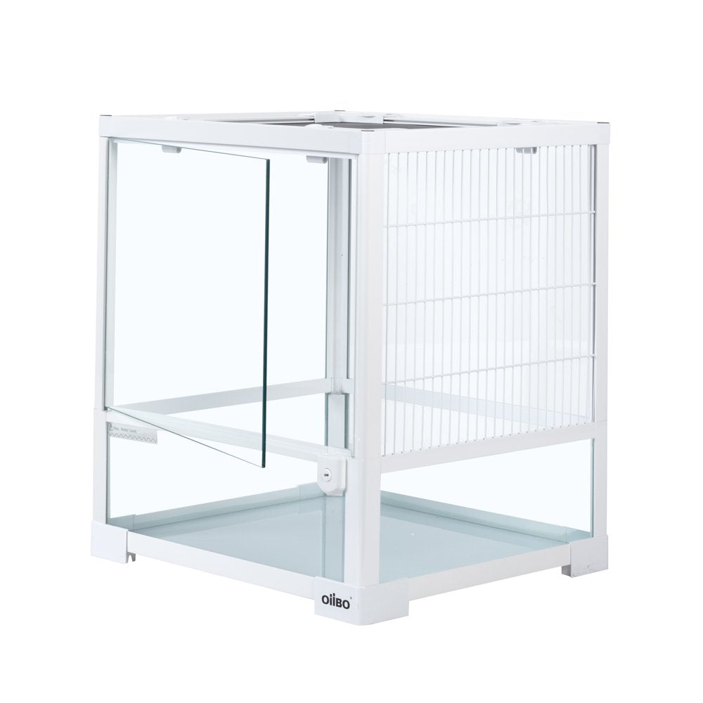 Oiibo Knock down Glass Terrarium, 16×14×18 Inches Animals & Pet Supplies > Pet Supplies > Reptile & Amphibian Supplies > Reptile & Amphibian Substrates etan pet supplies inc   