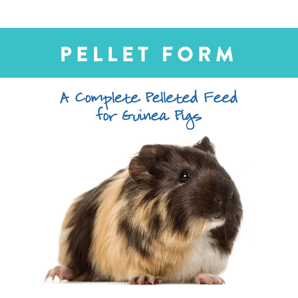 Small World Guinea Pig Complete Feed, Added Vitamin C, 9 Lbs Animals & Pet Supplies > Pet Supplies > Small Animal Supplies > Small Animal Treats Manna Pro   