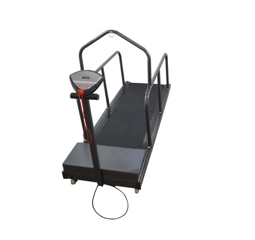 INTBUYING Dog Proform Treadmill Pet Exercise Equipment for Canine Running 110V Animals & Pet Supplies > Pet Supplies > Dog Supplies > Dog Treadmills INTBUYING   