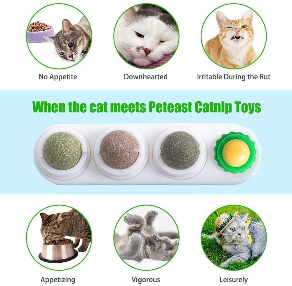 Catnip Ball Toy, Rotating Natural Catnip Ball Toys Wall Mount Treats Licking Cat Molar Teething Toy with Solid Candy Ball Animals & Pet Supplies > Pet Supplies > Cat Supplies > Cat Treats Miruku   
