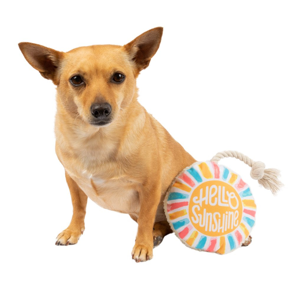 Vibrant Life Hello Sunshine Dog Toy Animals & Pet Supplies > Pet Supplies > Dog Supplies > Dog Toys Mission Pets   