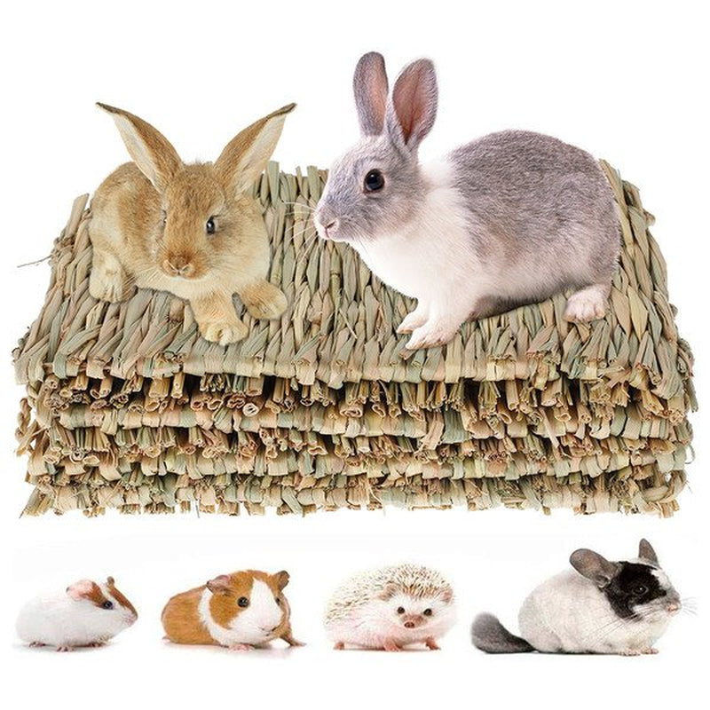 THREN 4Pack Rabbit Bunny Mat Grass Mats Natural Straw Woven Rabbits Safe & Edible Mats Cages Chew Toys Bed for Small Animal Guinea Pig Parrot Rabbit Bunny Hamster Animals & Pet Supplies > Pet Supplies > Small Animal Supplies > Small Animal Bedding THRENS   