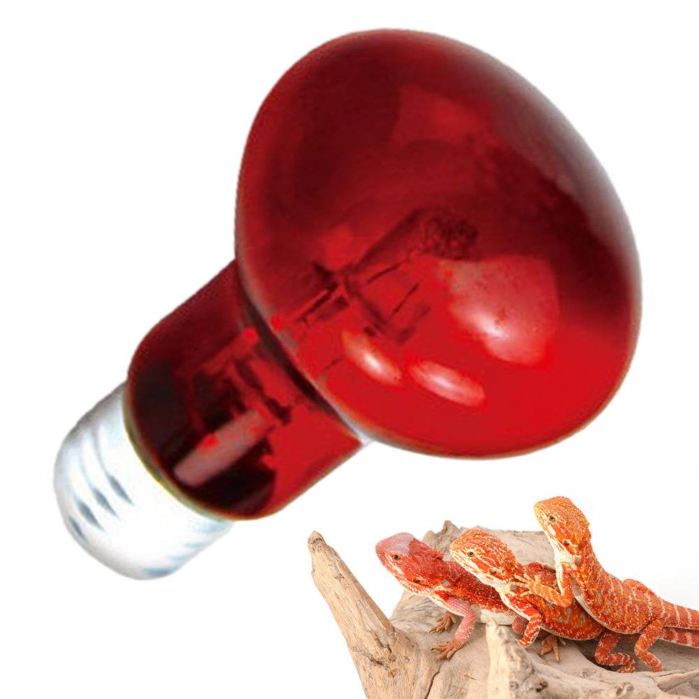 Geruite Reptile Heat Lamp Bulb Basking Spot Lamp for Reptiles Reptile Heat Bulb for Reptiles UVA Light Bulb for Lizard Tortoise Bearded Dragon Hedgehogs Expert Animals & Pet Supplies > Pet Supplies > Reptile & Amphibian Supplies > Reptile & Amphibian Food Geruite Red light 42W  