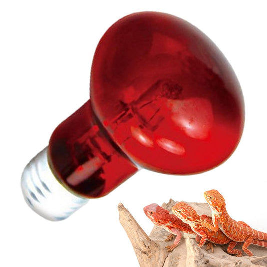 Leking Reptile Heat Bulb High Intensity UVA Light Bulb Adjustable Habitat Heat Lamp for Reptiles and Amphibian Heating Lamp for Turtle/Plant Fine