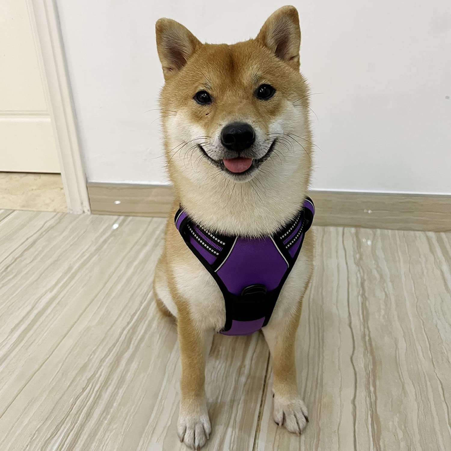 C4P No Pull Dog Harness for Medium Dogs, Dog Vest Harness for Training, Safety Fully Adjustable Dog Collar, Reflective Strip No-Choke Pet Oxford Walking Vest with Handle for Medium Dogs Purple M Animals & Pet Supplies > Pet Supplies > Dog Supplies > Dog Apparel C4P   