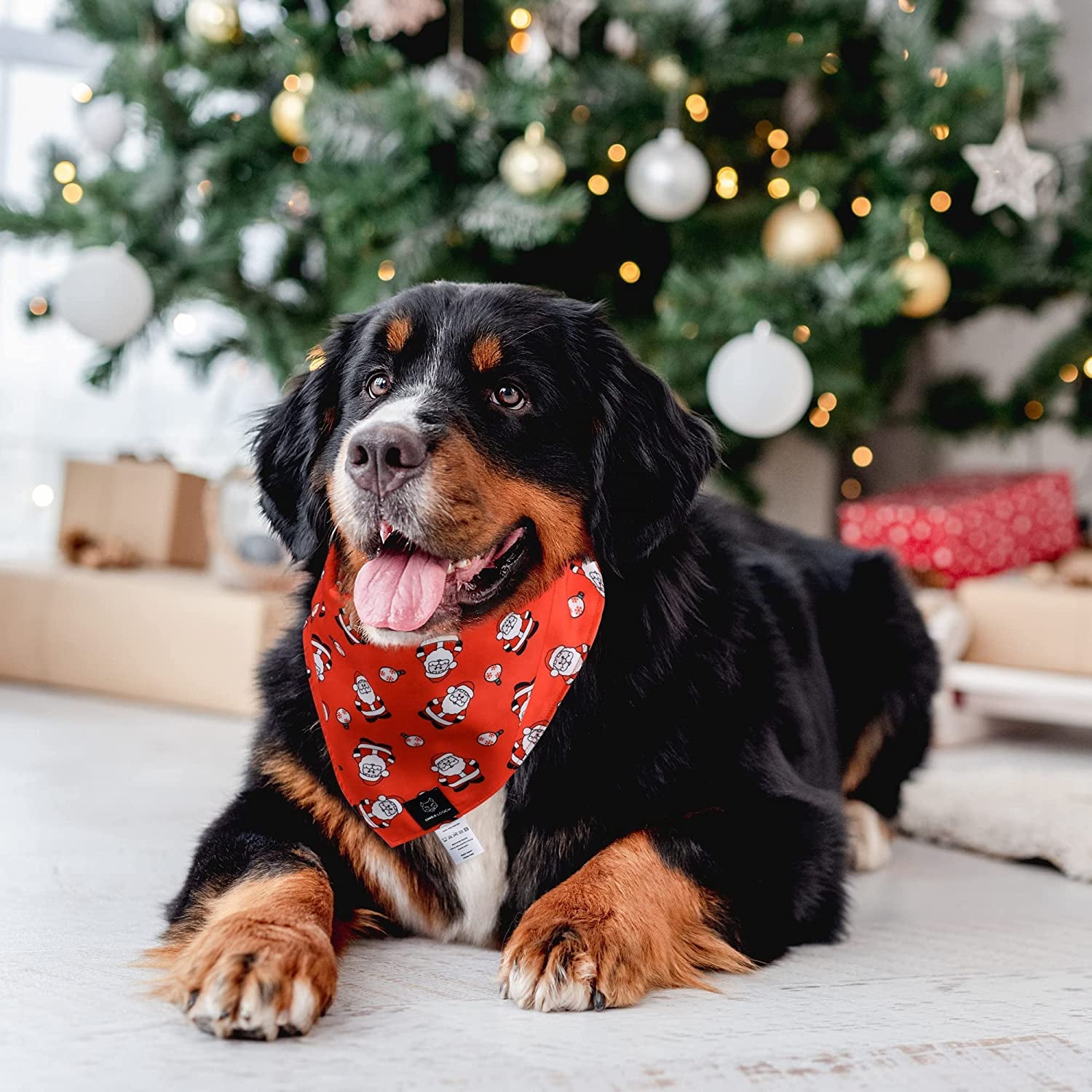 SHIBA LOGIC Christmas Dog Bandanas Pack of 2 - Xlarge - Reversible Dog Scarf Pet Bandana Puppy Bandana for Small Medium and Large Sized Girl and Boy Dogs - Holiday Themed Dog Apparel Accessories Animals & Pet Supplies > Pet Supplies > Dog Supplies > Dog Apparel Shiba Logic   