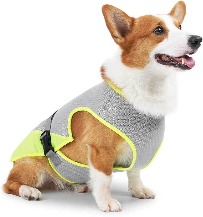 Dog Cooling Vest, Ultralight Weight, Medium and Large Dogs, Cooling Jacket, for Outdoor Activities, Hiking, Training, Grey, XL Animals & Pet Supplies > Pet Supplies > Dog Supplies > Dog Apparel ENGEL WEMANG gray Medium 