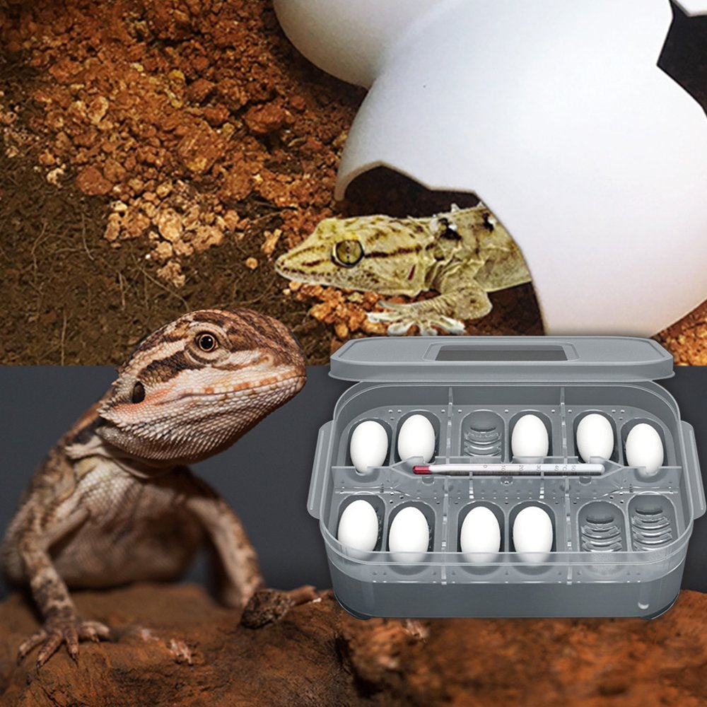 Reptile Dedicated Incubator 12 Grids Egg Hatcher Box with Thermometer Transparent Amphibians Hatching Tray Animals & Pet Supplies > Pet Supplies > Reptile & Amphibian Supplies > Reptile & Amphibian Substrates MODERN HOMEZIE   